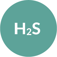 Hydrogen sulfide safety training logo