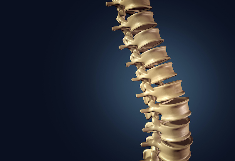 Computer-generated-image-of-spine